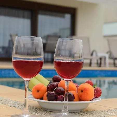 Villas Hanioti